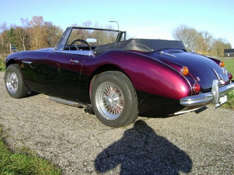 Austin Mk III - HEALEY 3000 MK 3000 - 1