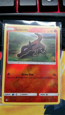 Salandit  30/214 (reverse) sm Unbroken Bonds