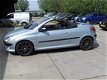 Peugeot 206 CC - 2.0-16V - 1 - Thumbnail