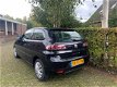 Seat Ibiza - 1.2-12V Selection APK 12/2020 2 SLEUTELS ZEER MOOIE IBIZA - 1 - Thumbnail