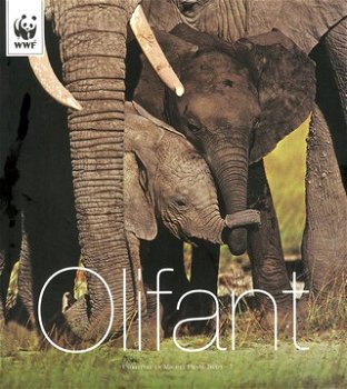 Olifant - 1