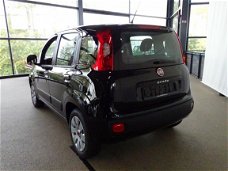 Fiat Panda - 1.2 69 Popstar