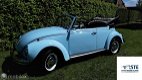 Volkswagen Kever Cabriolet - 1 - Thumbnail