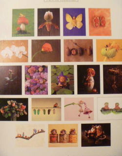 Anne Geddes Photofolio . . . wat doe je in mijn hof?