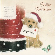 Prettige Kerstdagen voor jou