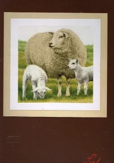  LANARTE BORDUURPAKKET , SHEEP, SCHAAP met 2 LAMMETJES 