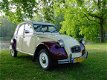 Citroën 2 CV - 2cv DOLLY - 1 - Thumbnail