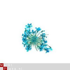 Gedroogde Droog bloemen BLUE dried flower gel acryl nail art