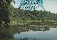 Oisterwijk een van de vele vennen 1979