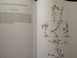 Anatomie voor de kunstenaar - Jeno Barcsay - gebonden