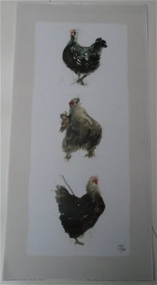 POSTER THREE CHICKENS I 60 x 30 cm NIEUW