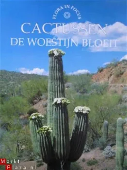 Cactussen; De woestijn bloeit - 1