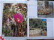 Cactussen; De woestijn bloeit - 2 - Thumbnail