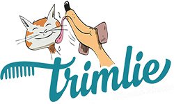 Honden trimmen Brakel - 1