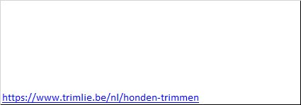 Honden trimmen Brakel - 2