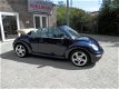 Volkswagen New Beetle Cabriolet - 1.4 New Beetle Cabriolet 1.4 - 1 - Thumbnail
