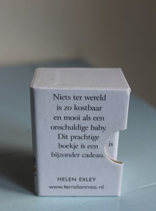 Kleine baby, grote schat - kadoboekje - Afbeelding 3