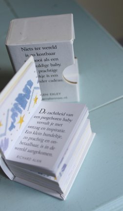 Kleine baby, grote schat - kadoboekje - Afbeelding 4