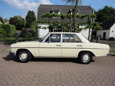 Mercedes-Benz 250 - (W115) Wegenbelasting vrij - 1