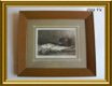 Antieke litho / gravure in lijst : A. Vollon, vissen - 1 - Thumbnail