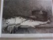 Antieke litho / gravure in lijst : A. Vollon, vissen - 2 - Thumbnail