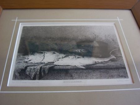 Antieke litho / gravure in lijst : A. Vollon, vissen - 3