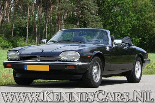 Jaguar XJS - 1992 V12 5.3 Convertible Cabrio - 1