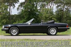 Jaguar XJS - 1992 V12 5.3 Convertible Cabrio