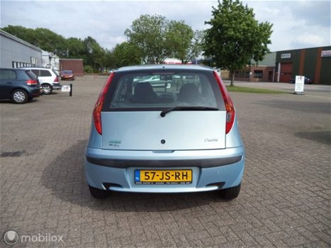 Fiat Punto - 1.2 Dynamic - 1