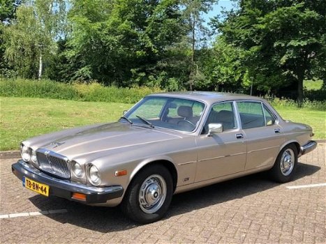 Jaguar XJ - XJ-6 automaat 1985 Leer Airco Keurige auto Roestvrij Goed rijdend - 1