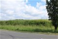 Ardennen,6880 Bertrix: Mooie bouwgrond 1270m²,.. te koop Ref V1055B - 1 - Thumbnail