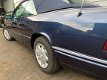 Mercedes-Benz E-klasse Cabrio - 200 Prachtige W124 cabriolet in een kleurstelling met allure - 1 - Thumbnail