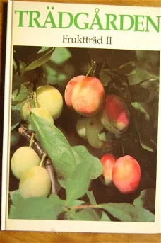 Fruktträd II (fruittuin)