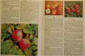 Fruktträd II (fruittuin) - 2 - Thumbnail