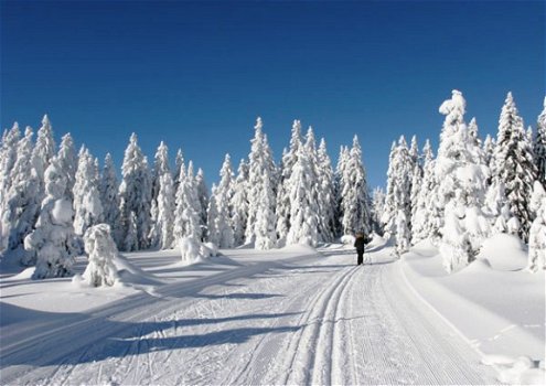 Weekendje Wintersport bij Winterberg en Willingen Sauerland. - 2