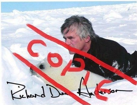 foto's van Richard Dean Anderson - 5