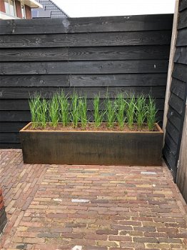 Plantenbak - Cortenstaal - Voordeligste van Nederland - 4