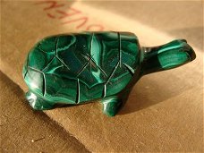Schildpad van Malachiet