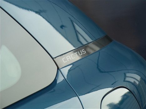 Citroën C4 Cactus - e-THP 110pk Business met Navigatie - 1