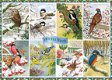 Falcon de Luxe - Winter Birds - 1000 Stukjes - 1 - Thumbnail