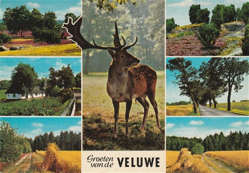 Groeten van de Veluwe 1965 - 1