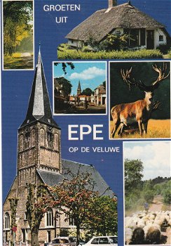 Groeten uit Epe op de veluwe - 1