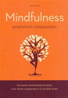 David Harp  -  Mindfulness Praktisch Toepassen