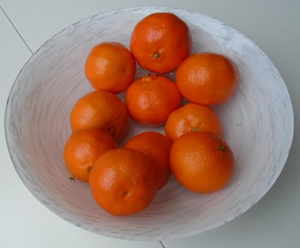 FRUITSCHAAL, SALADESCHAAL, SCHAAL 27 cm WIT NIEUW - 3