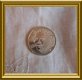 5 euro munt : Vincent / Beatrix - 2 - Thumbnail