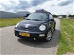 Volkswagen New Beetle Cabriolet - 1.6 Highline Zwart - 1 - Thumbnail