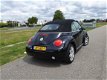 Volkswagen New Beetle Cabriolet - 1.6 Highline Zwart - 1 - Thumbnail