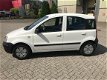 Fiat Panda - 1.1 Actual - 1 - Thumbnail