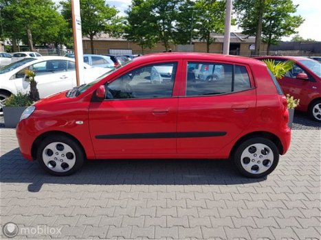 Kia Picanto - 1.1 X-clusive - 1