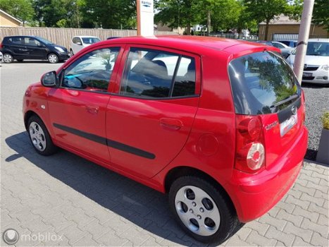 Kia Picanto - 1.1 X-clusive - 1